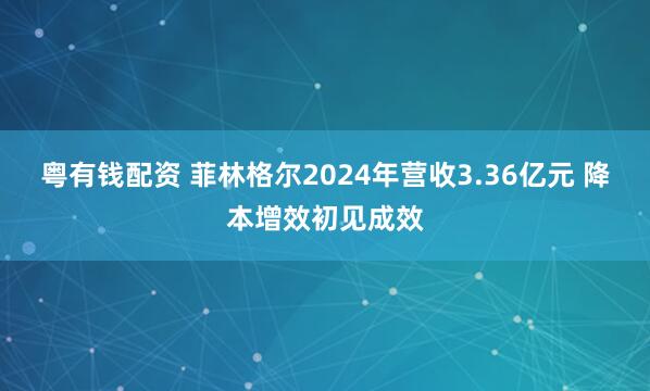 粤有钱配资 菲林格尔2024年营收3.36亿元 降本增效初见成效