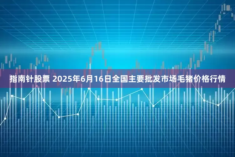 指南针股票 2025年6月16日全国主要批发市场毛猪价格行情